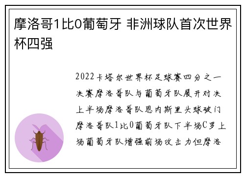摩洛哥1比0葡萄牙 非洲球队首次世界杯四强
